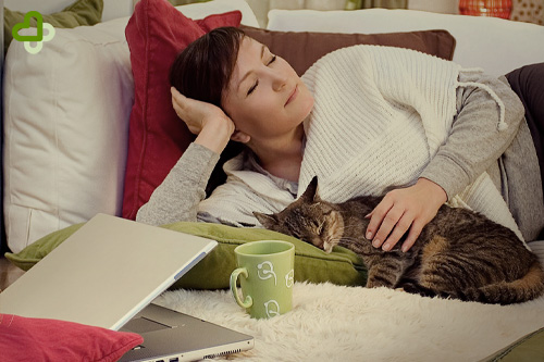 Женщина закрыла ноутбук и спит с котом